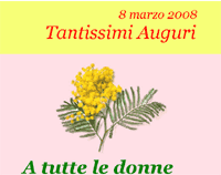 Template mimosa con sfondo rosa per festa della donna